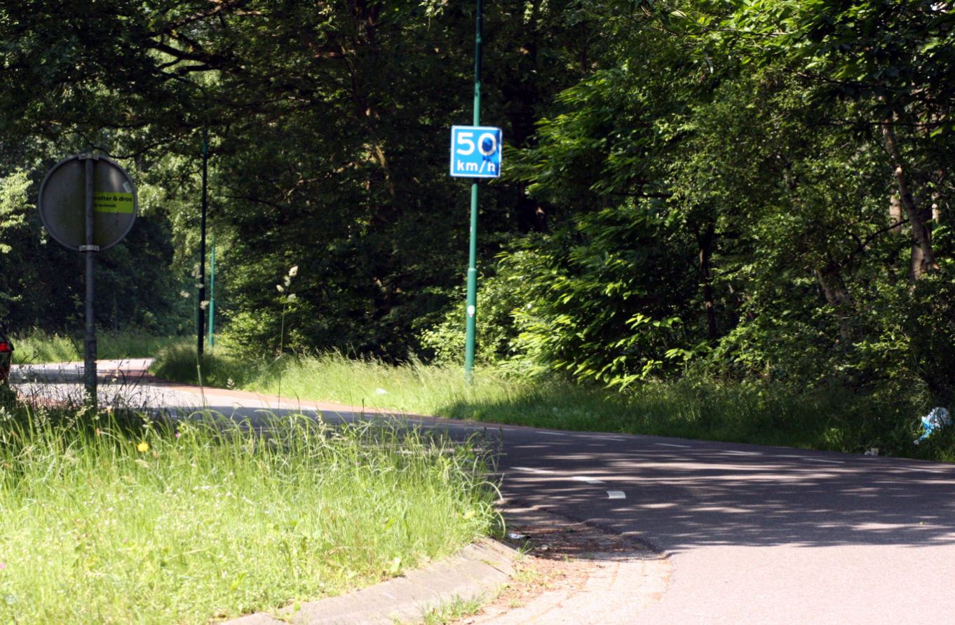 de weg na baks, bakscheven, new road, torrentjeshoeven, baksvenweg