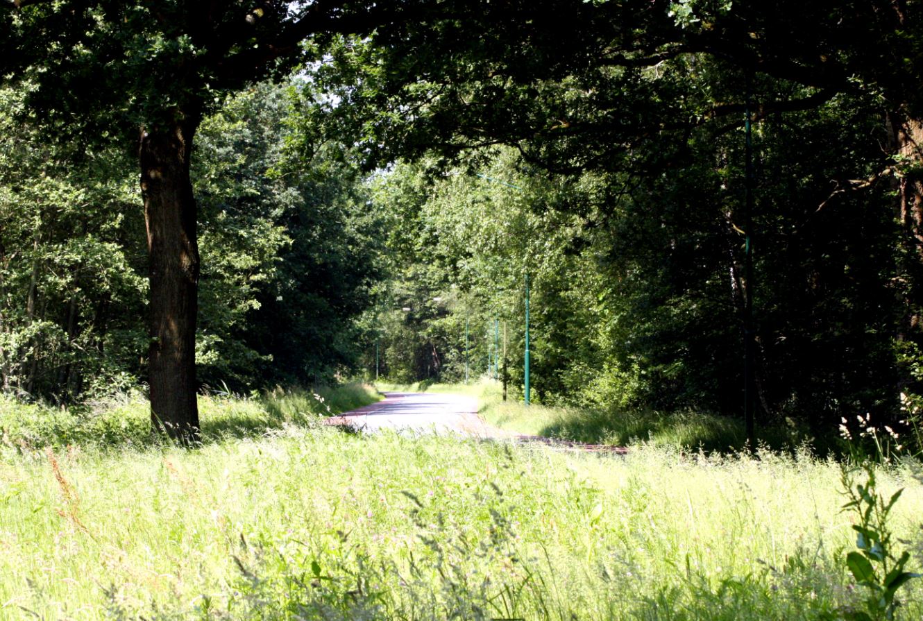 de weg na baks, bakscheven, new road, torrentjeshoeven, baksvenweg