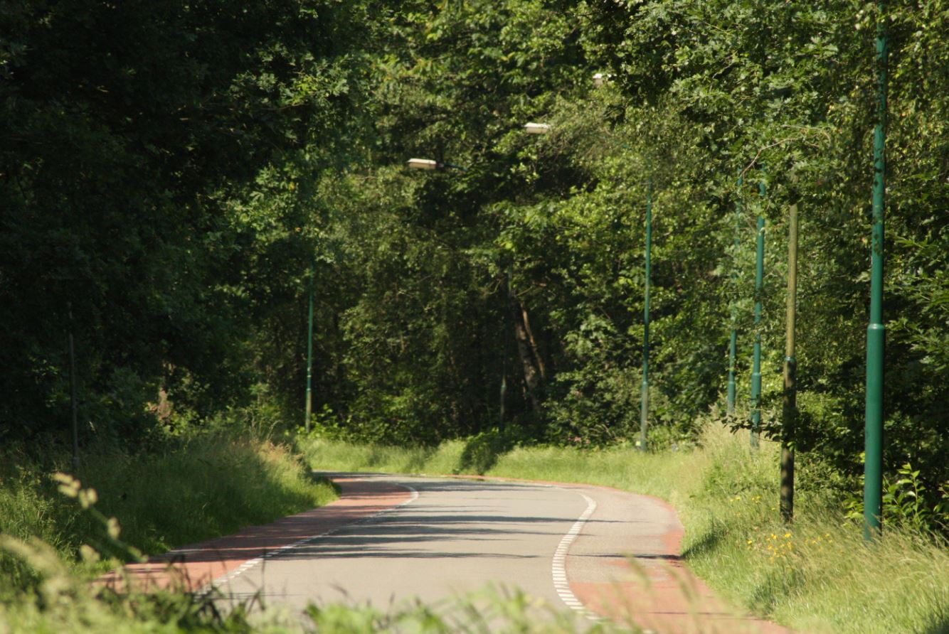 de weg na baks, bakscheven, new road, torrentjeshoeven, baksvenweg