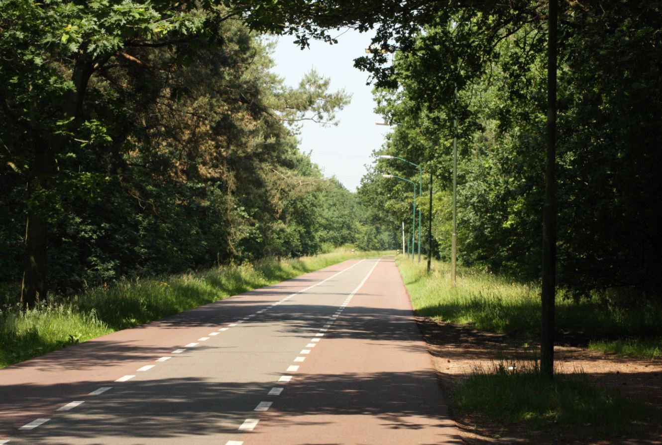de weg na baks, bakscheven, new road, torrentjeshoeven, baksvenweg