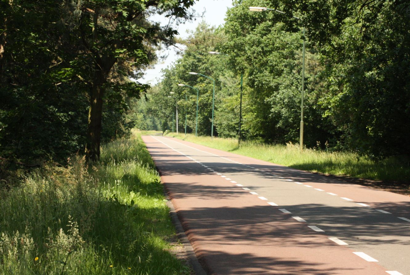 de weg na baks, bakscheven, new road, torrentjeshoeven, baksvenweg