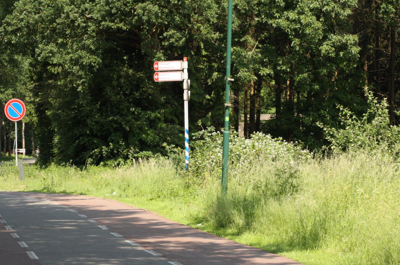 de weg na baks, bakscheven, new road, torrentjeshoeven, baksvenweg