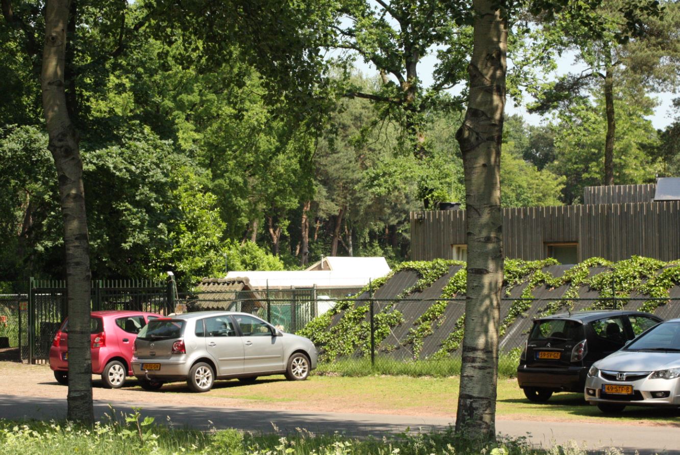 de weg na baks, bakscheven, new road, torrentjeshoeven, baksvenweg