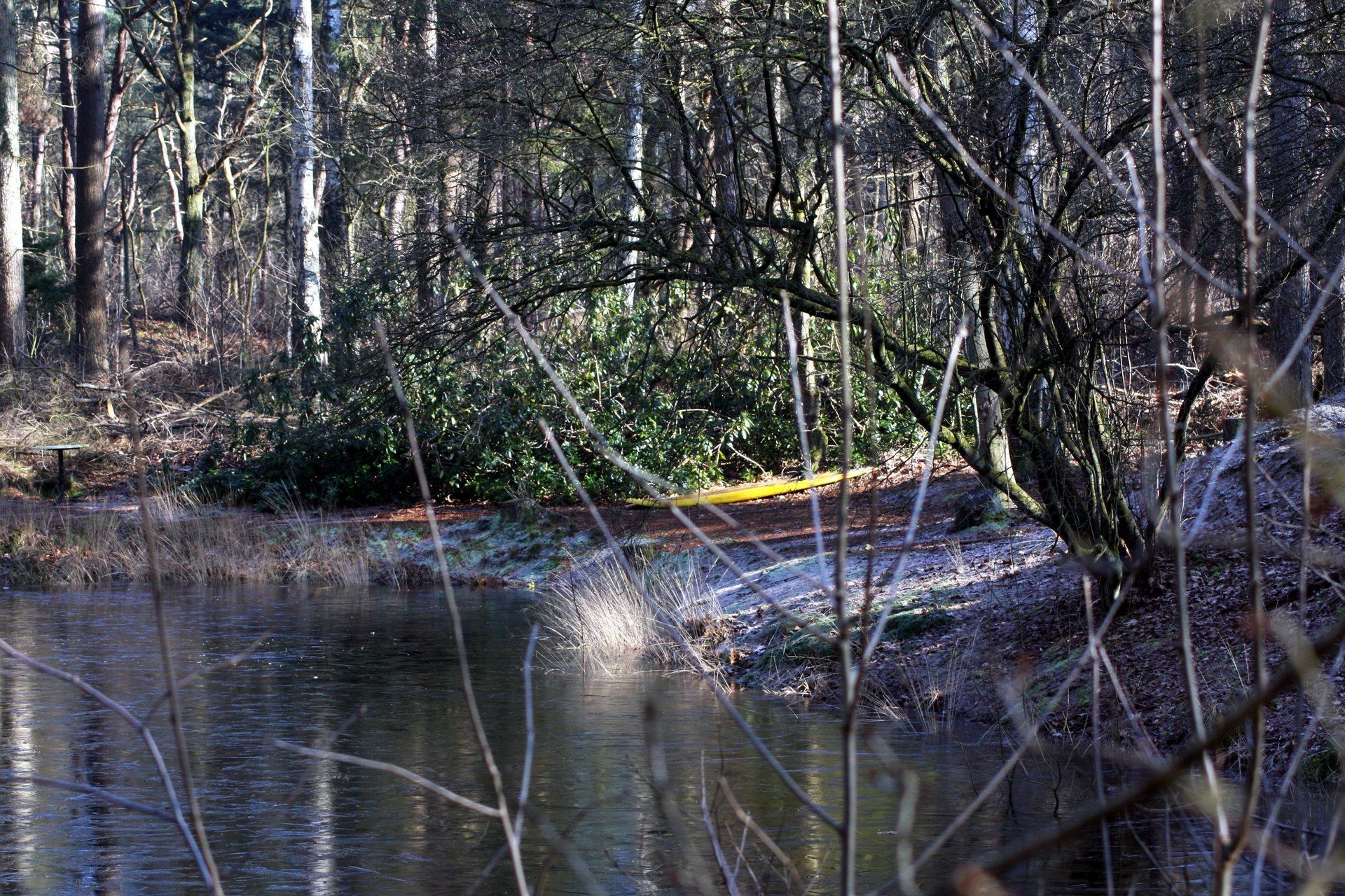 De kluizenaar ven tilburg