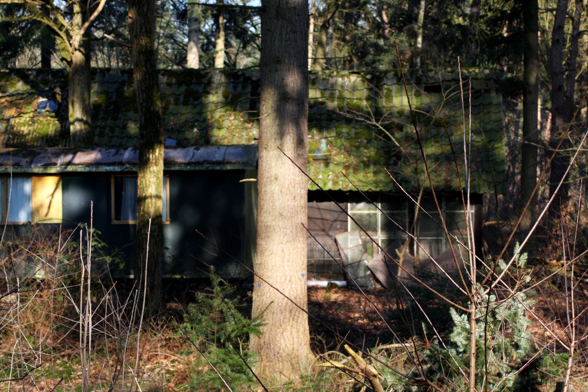 De kluizenaar ven tilburg