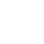 phone-Icon