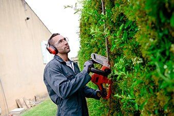 Gardener Trimming in Garden — Office Improvement in Hampton, VA Gardener Trimming in Garden — Office Improvement in Hampton, VA
