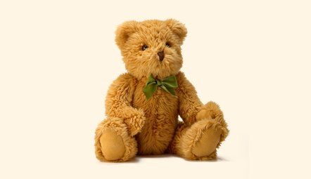 teddy