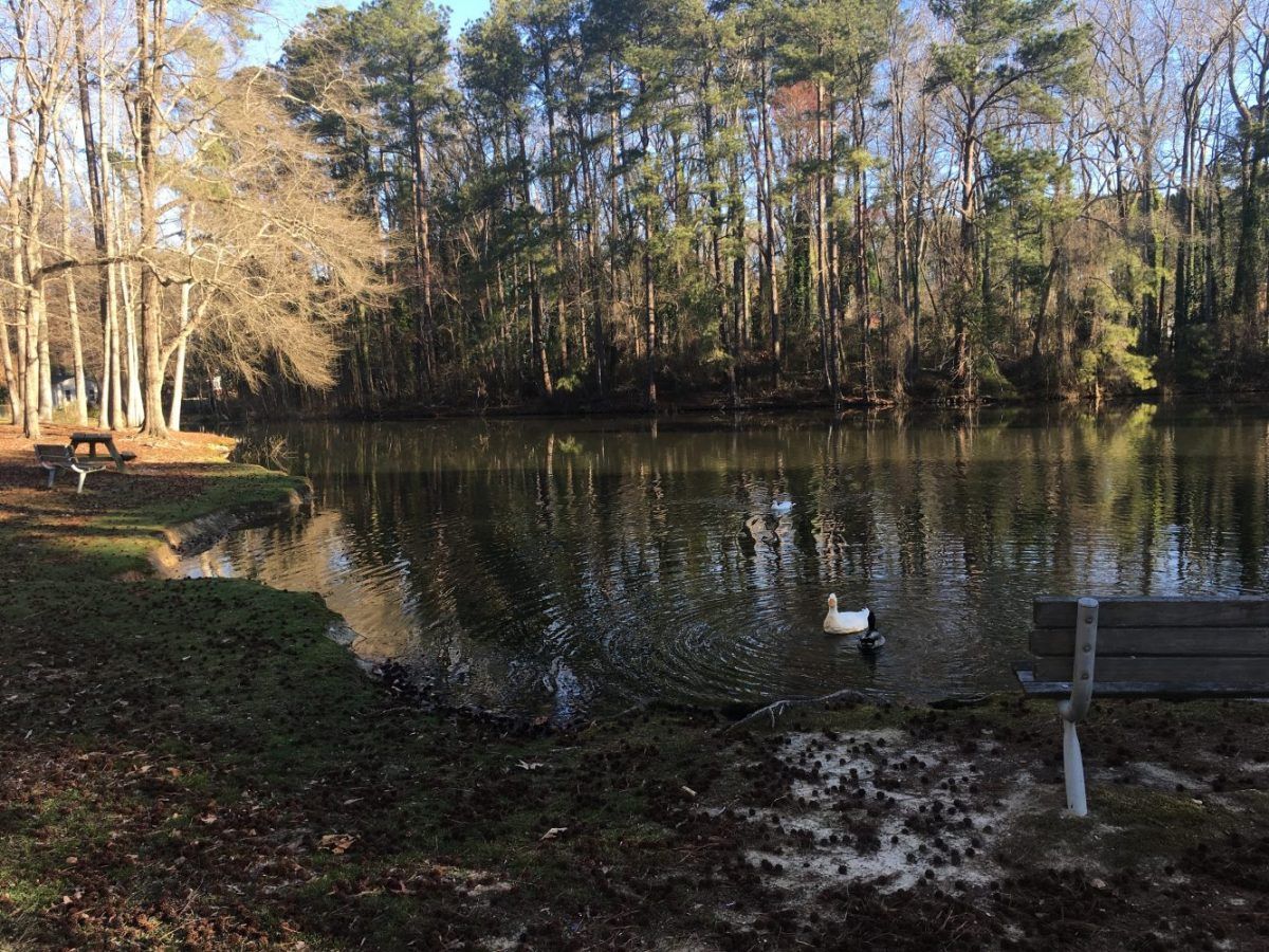 Lake