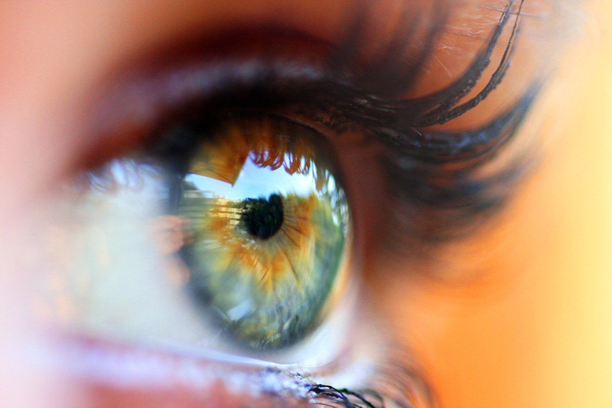 Protesi oculari