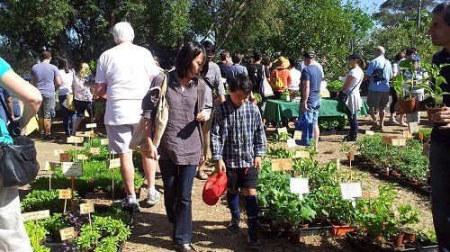 garden