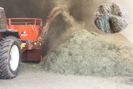Roto Grind Forage Harvester