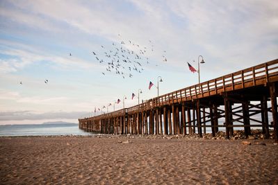 iStock_000015351555_Large