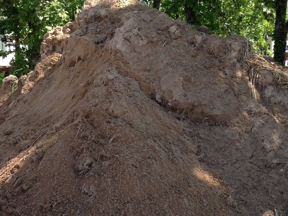 Dirt