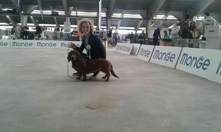 esposizione canina