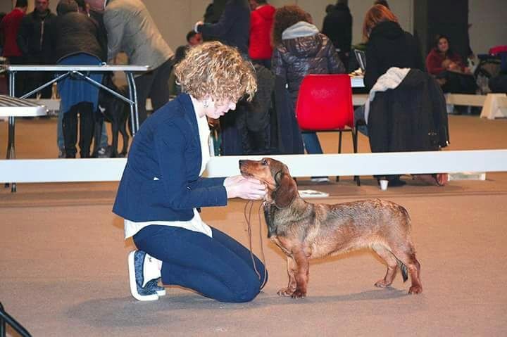 GARE CANI