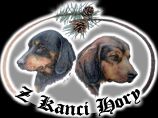 http://www.allevamentozkancihory.it