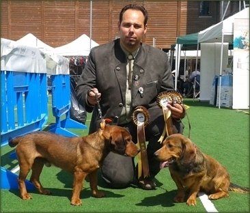 istruttore per animali istruttore per animali