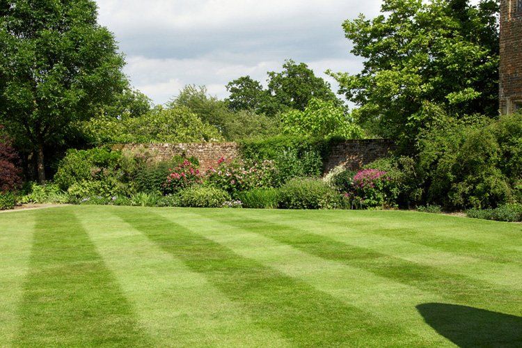 Soft landscaping