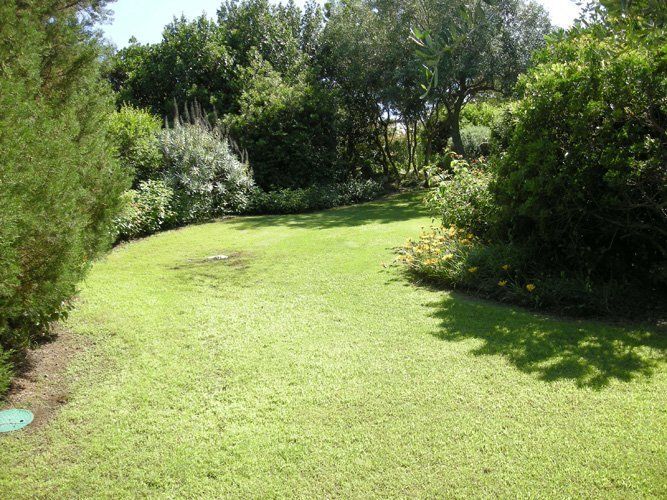 Giardino ben curato