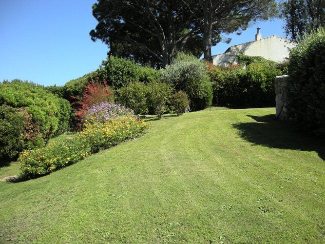Giardino con aiuole