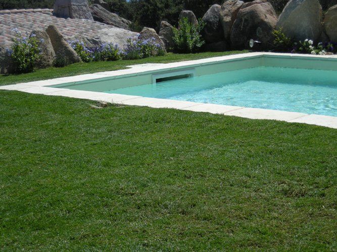 Giardino con piscina