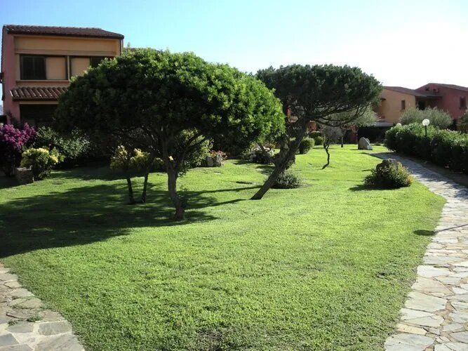 giardino con alberi