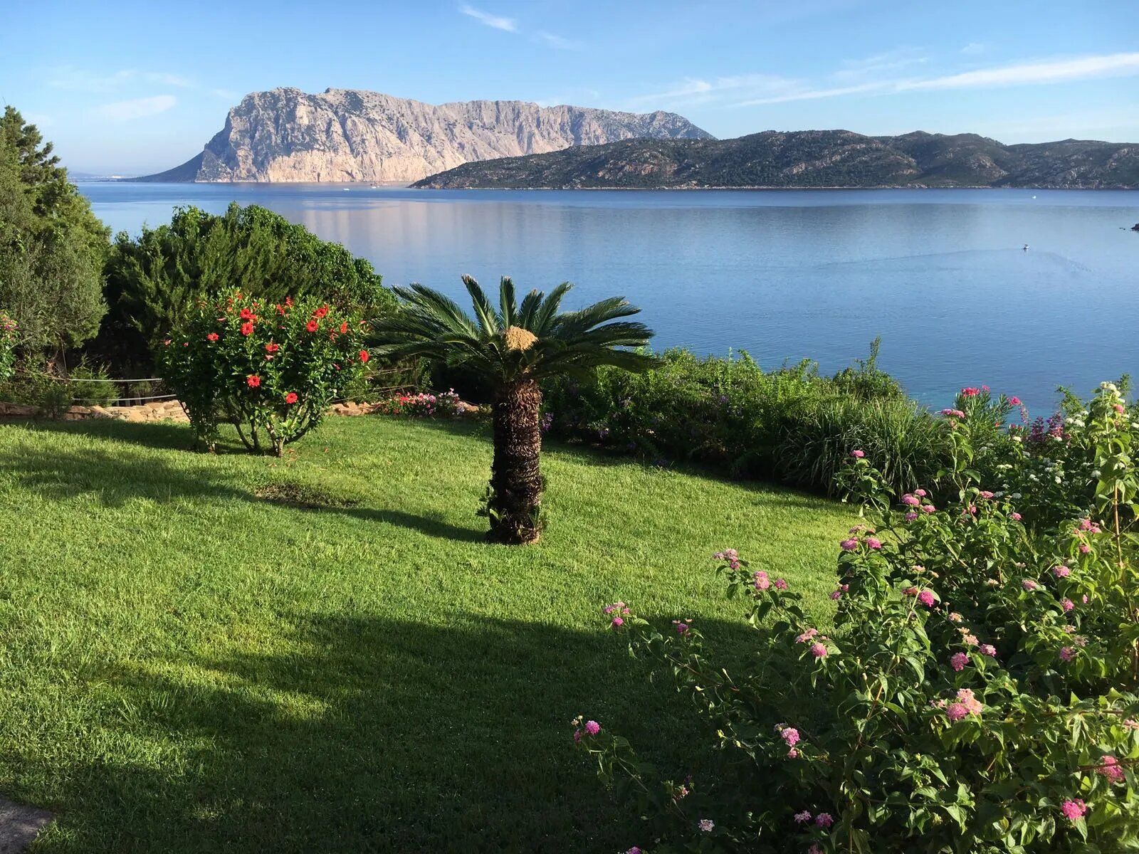 giardino di una villa al mare