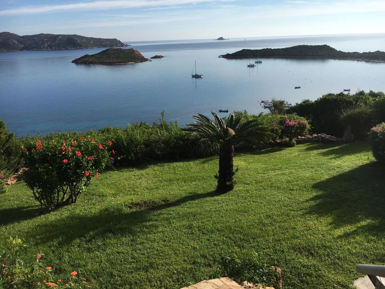 giardino di una villa con vista sul mare