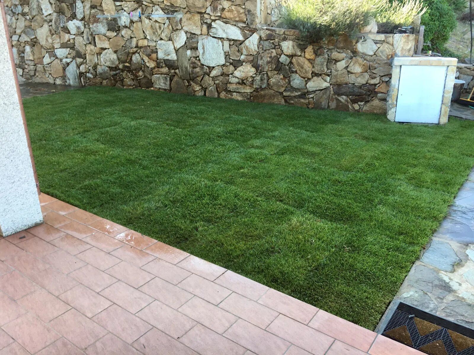 manto erboso di un giardino privato