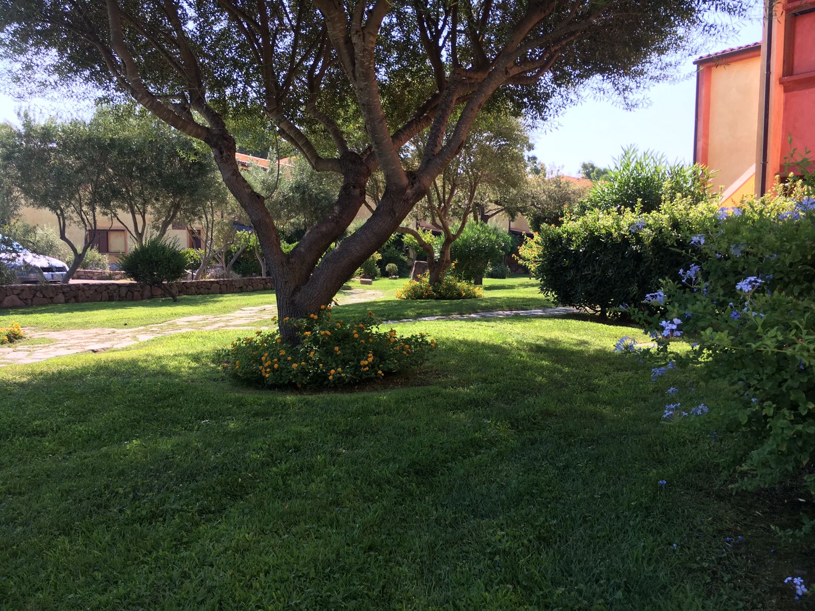 giardino con alberi e siepi