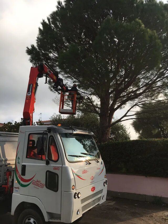 intervento per la cura del verde