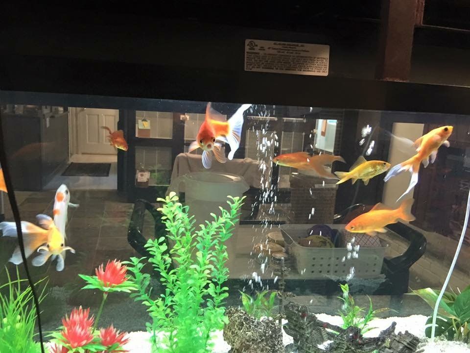 aquariums located in rm1