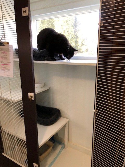 Captain's vertical cat boarding unit