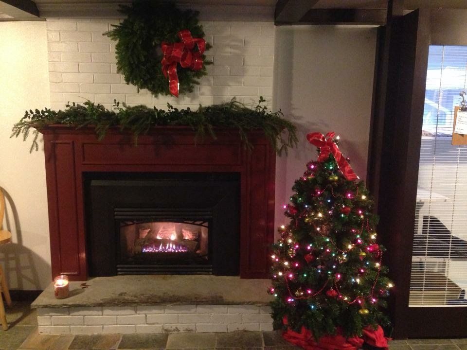 Fireplace & small Christmas tree in rm1