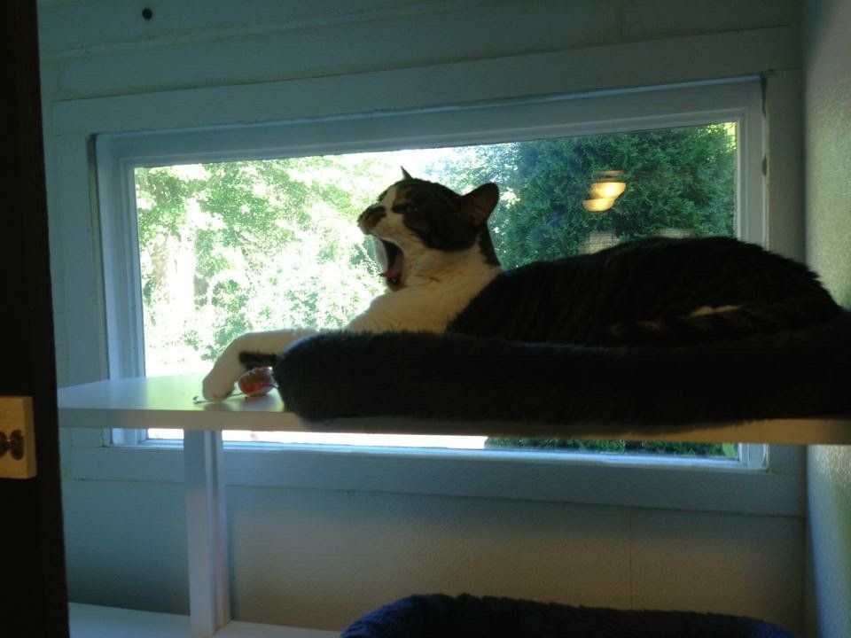 Guest in our 1st Mates unit, yawning