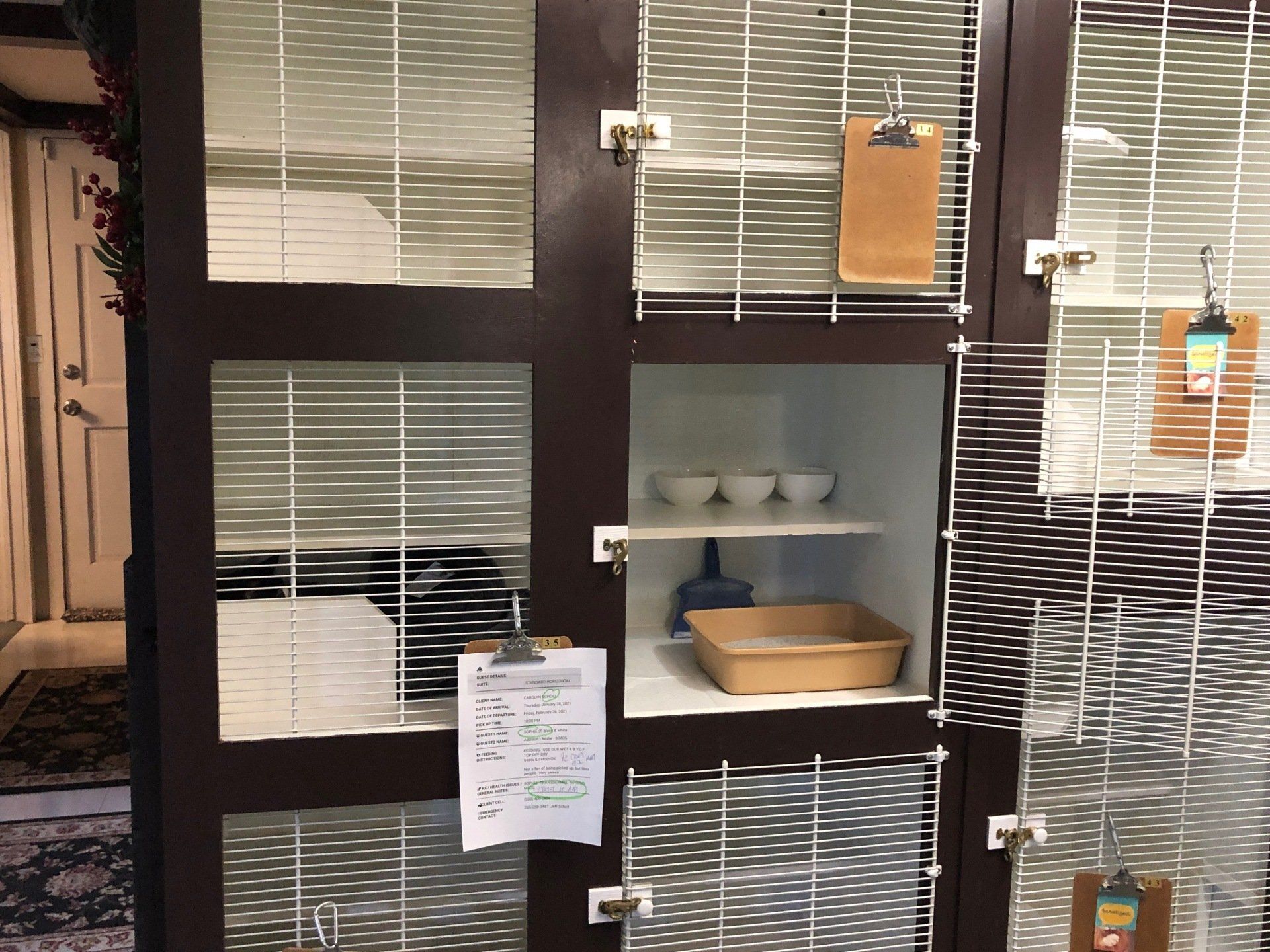 Standard cat boarding unit in hotel kennel clinton ct
