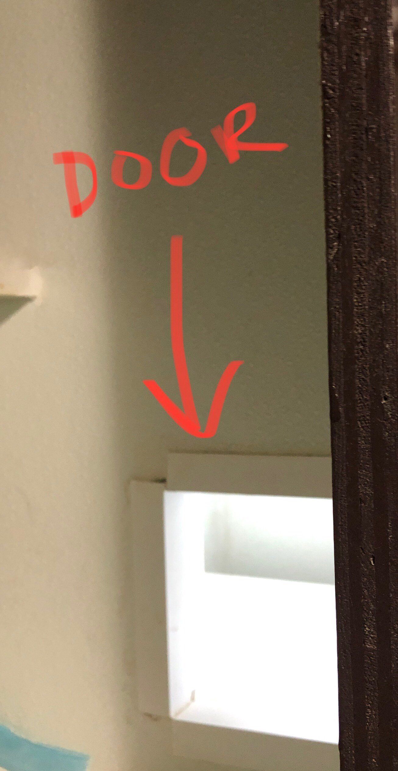 door between cat kennel areas of 1st Mates suite