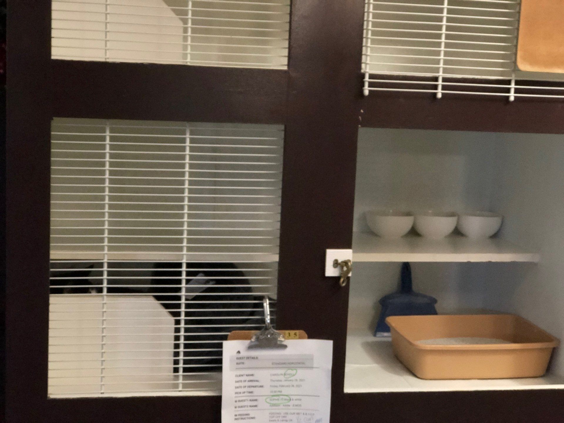 Standard horizontal boarding unit in cat hotel kennel