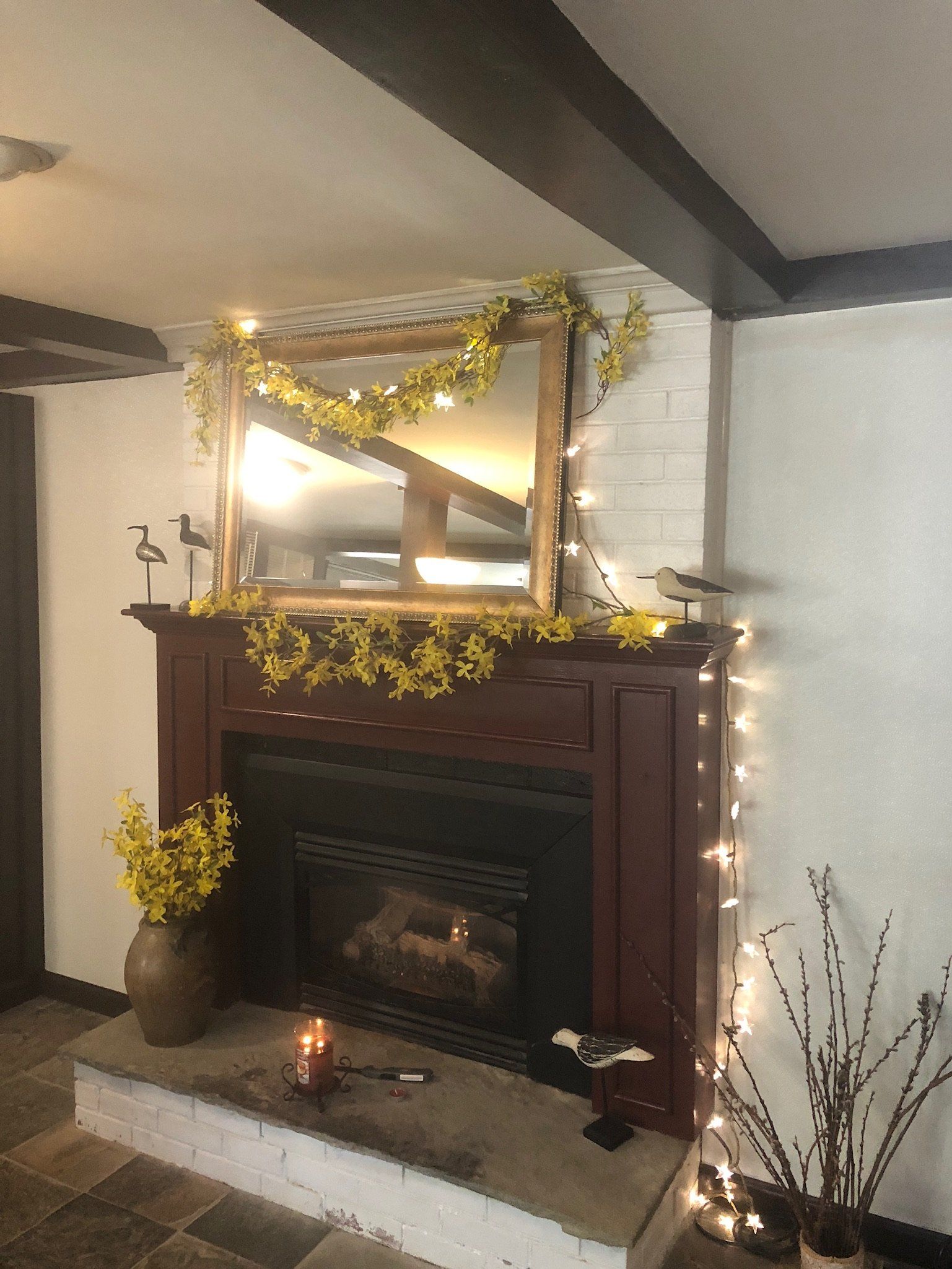 picture of the fireplace in our upscale boarding hotel for cats in rm1