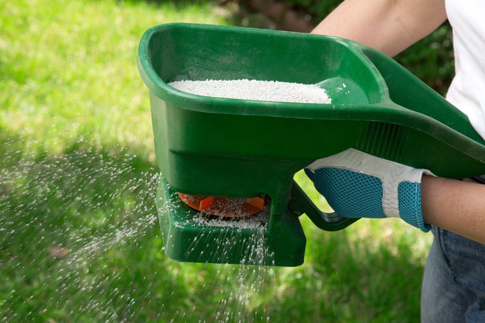 Gardener Pouring Fertilization Pellets — Coal Valley, IL — Kymbyl Komplete Kare , INC.