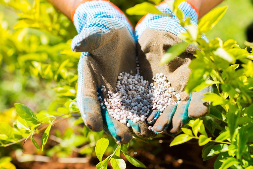 Gardener Adding Fertilization Pellets — Coal Valley, IL — Kymbyl Komplete Kare , INC.