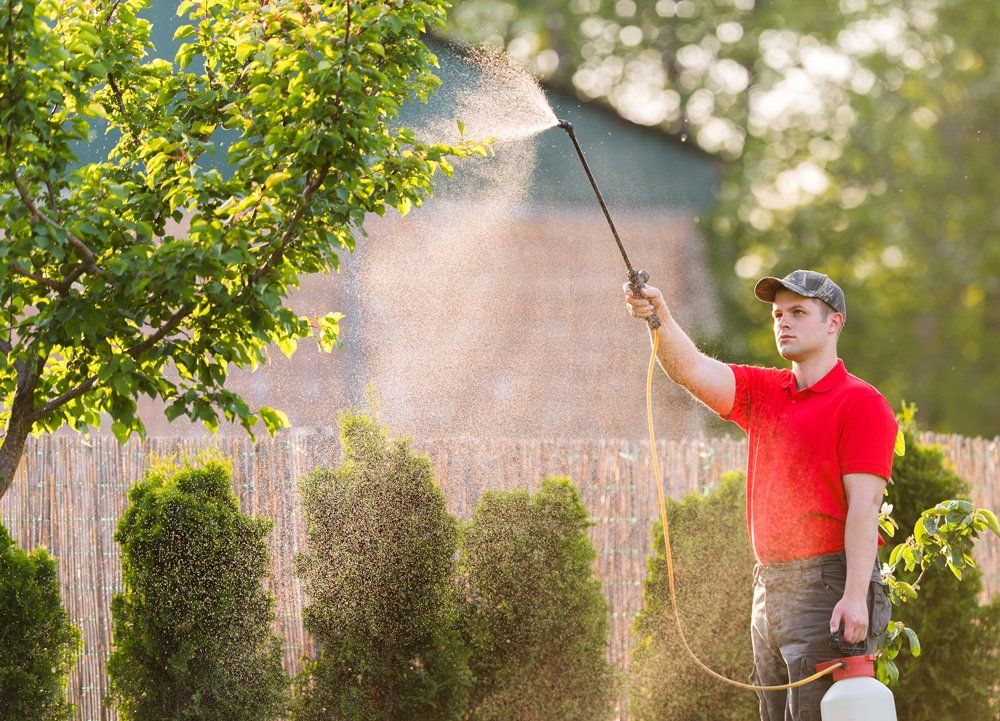 Gardener Spraying Fertilization — Coal Valley, IL — Kymbyl Komplete Kare , INC.