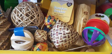 All the essentials you need for small animals