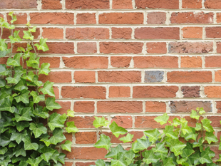 Garden walls
