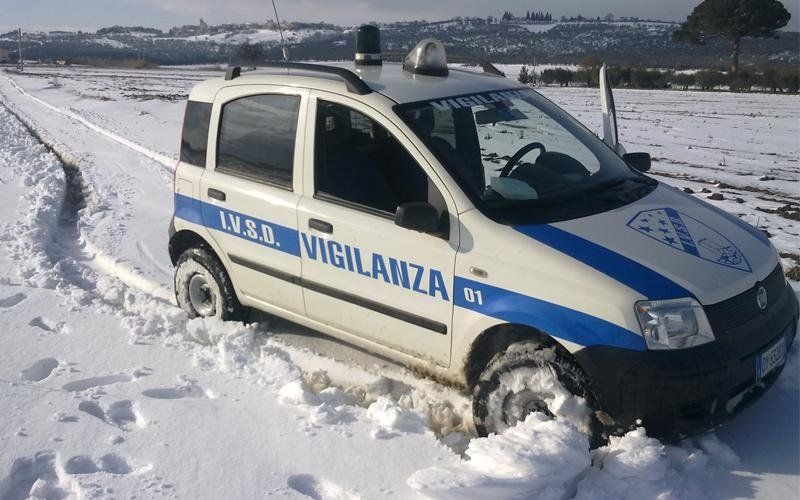 societa sicurezza privata