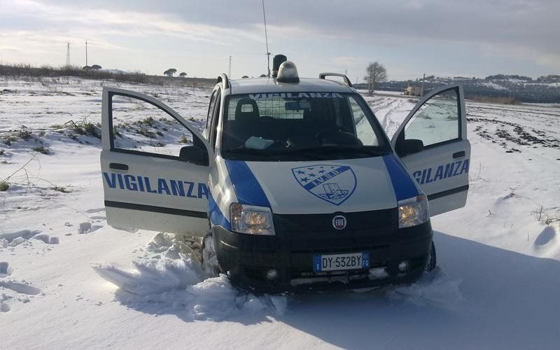 societa sicurezza