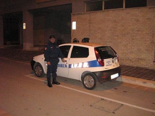 Servizi di vigilanza Servizi di vigilanza