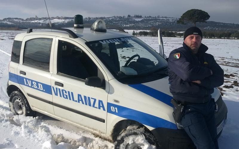societa sorveglianza