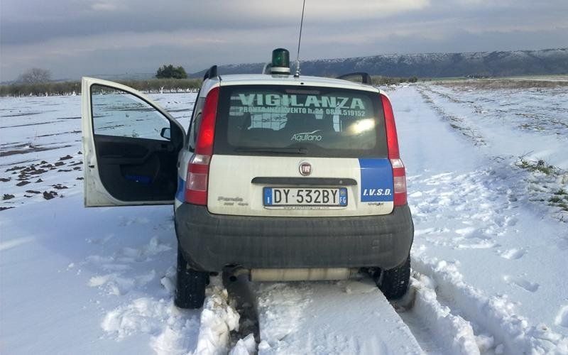 consulenze di sicurezza